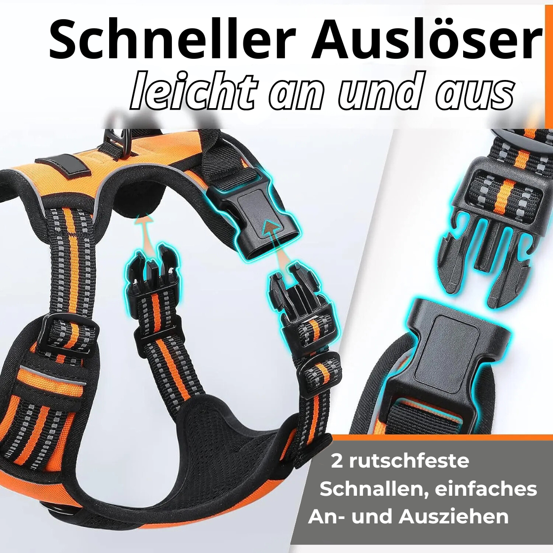Alpa Lux® – Luxuriöses Hundegeschirr mit Geschenkbox | Komfort & Sicherheit für deinen Hund