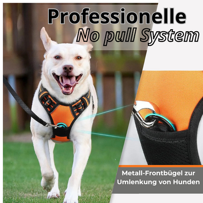 Alpa Lux® – Luxuriöses Hundegeschirr mit Geschenkbox | Komfort & Sicherheit für deinen Hund