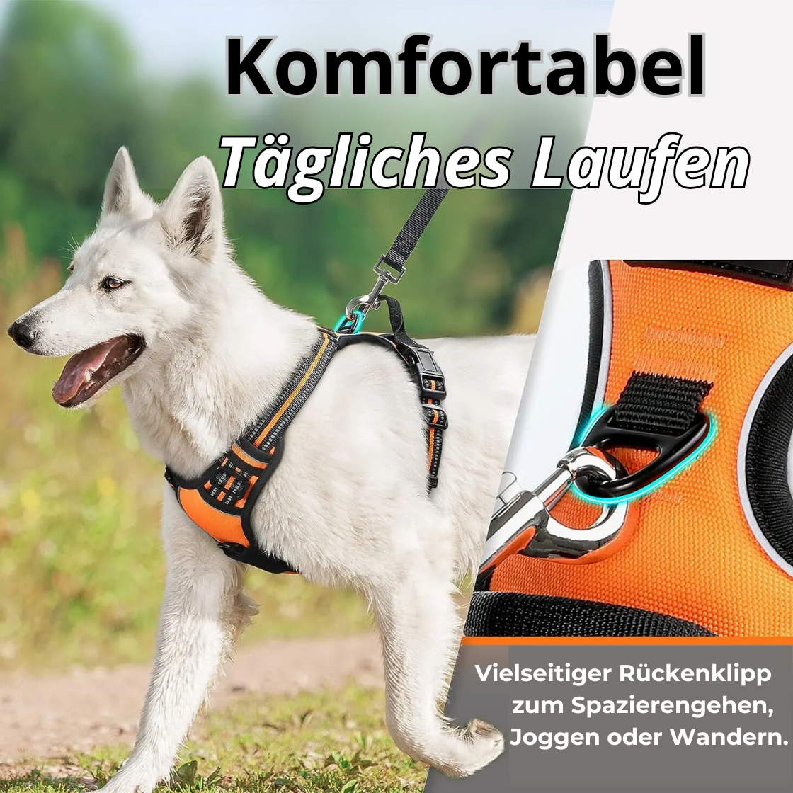 Alpa Lux® – Luxuriöses Hundegeschirr mit Geschenkbox | Komfort & Sicherheit für deinen Hund