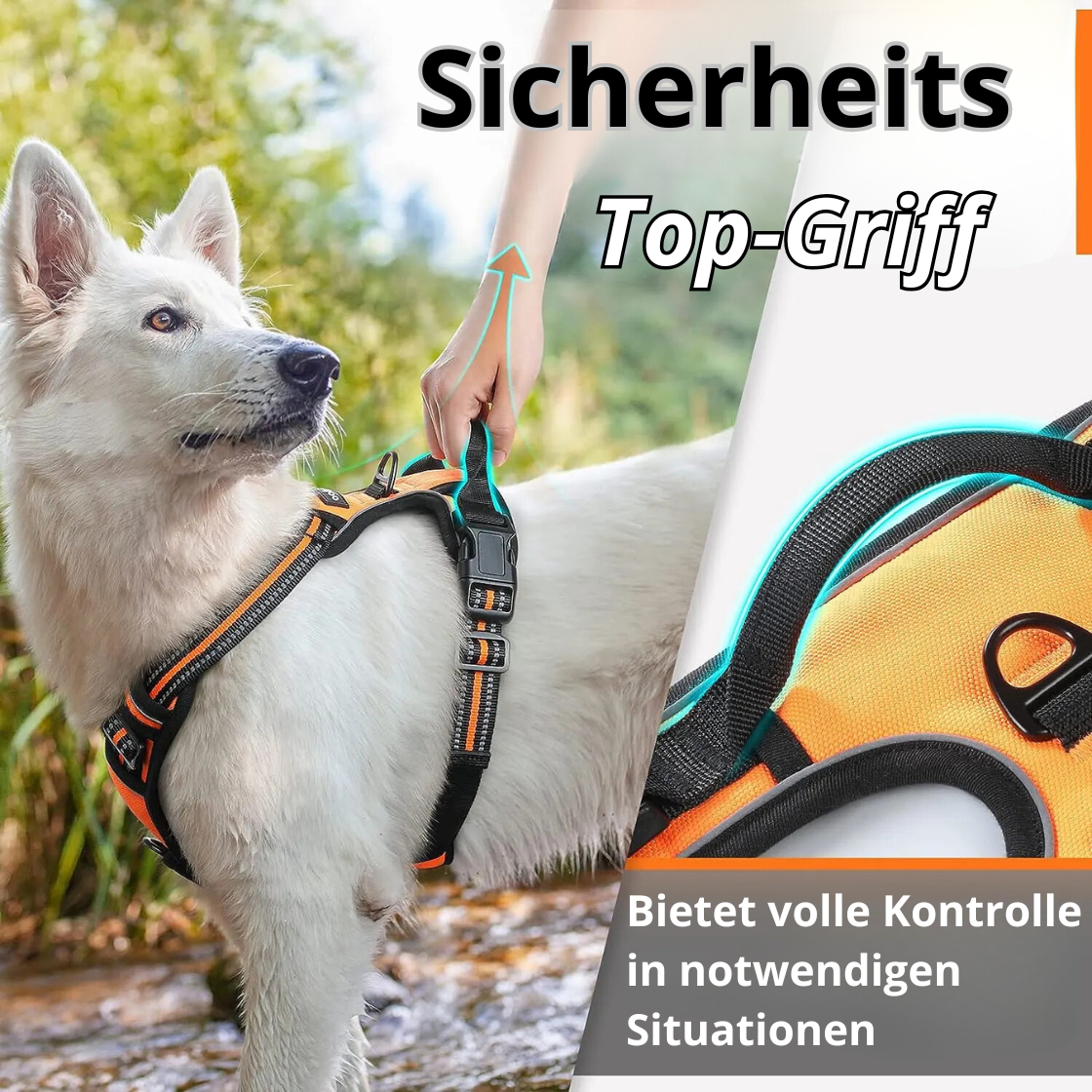 Alpa Lux® – Luxuriöses Hundegeschirr mit Geschenkbox | Komfort & Sicherheit für deinen Hund