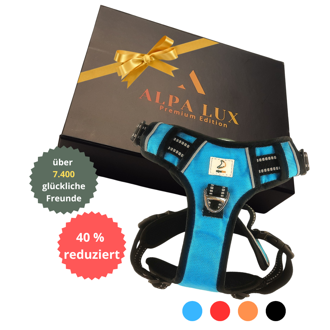 Alpa Lux® – Luxuriöses Hundegeschirr mit Geschenkbox | Komfort & Sicherheit für deinen Hund
